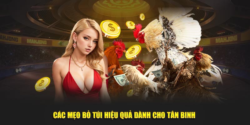 Mẹo bỏ túi giúp tân binh chơi dễ dàng hơn