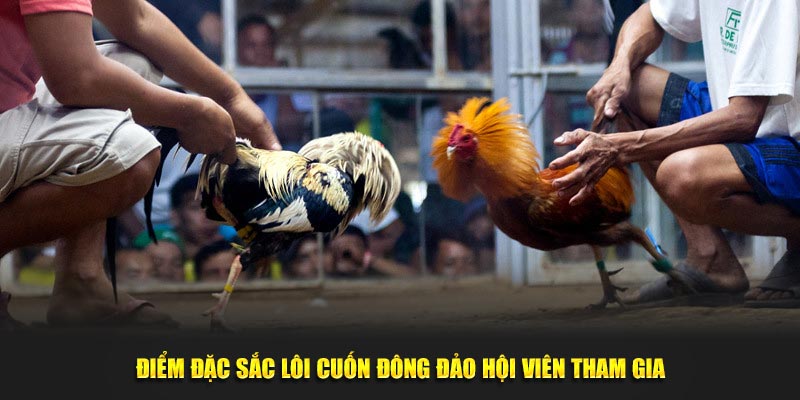 Điểm đặc sắc lôi cuốn đông đảo hội viên tham gia