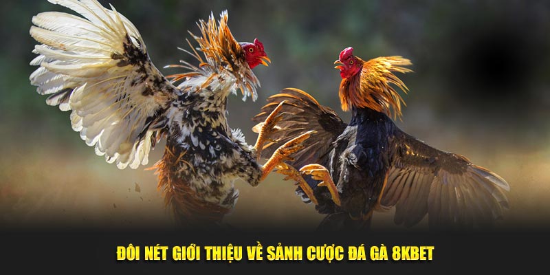 Đôi nét giới thiệu về sảnh cược đá gà 8KBET